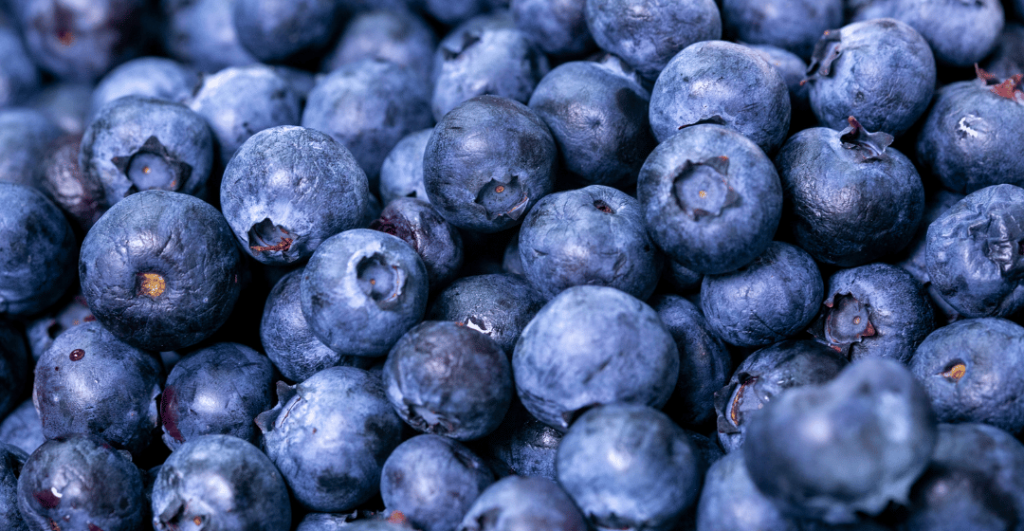 Manfaat buah blueberry untuk mata